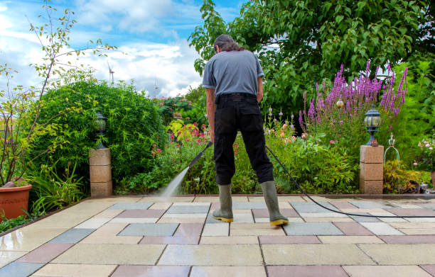 Best Sidewalk and Walkway Cleaning  in Clay, CA